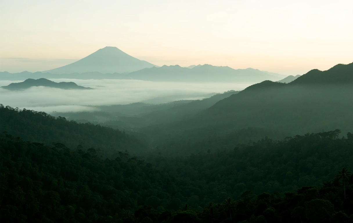 Indonesian landscape